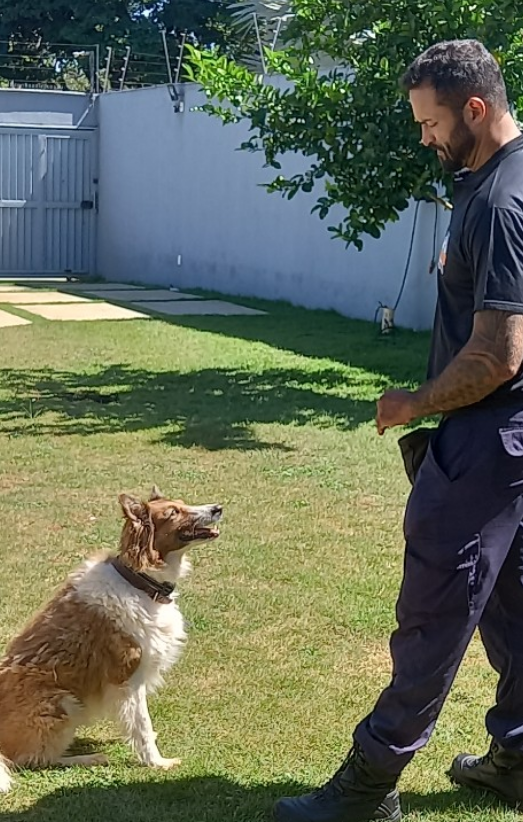 André Andrade, adestrador de cães profissional em Belo Horizonte