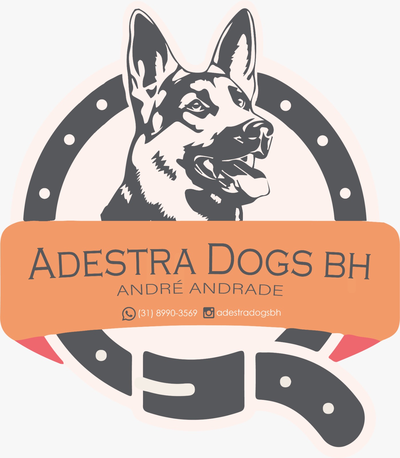 Adestrador de cães em BH - Belo Horizonte - Adestramento em domicilio