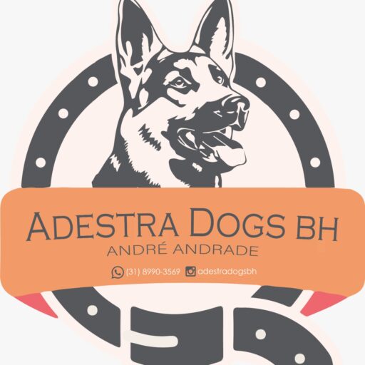 Adestrador de cães em BH - Belo Horizonte - Adestramento em domicilio
