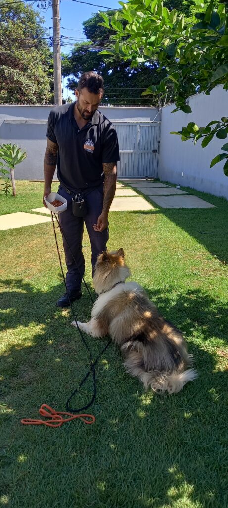 André Meireles - Adestrador de cães em BH